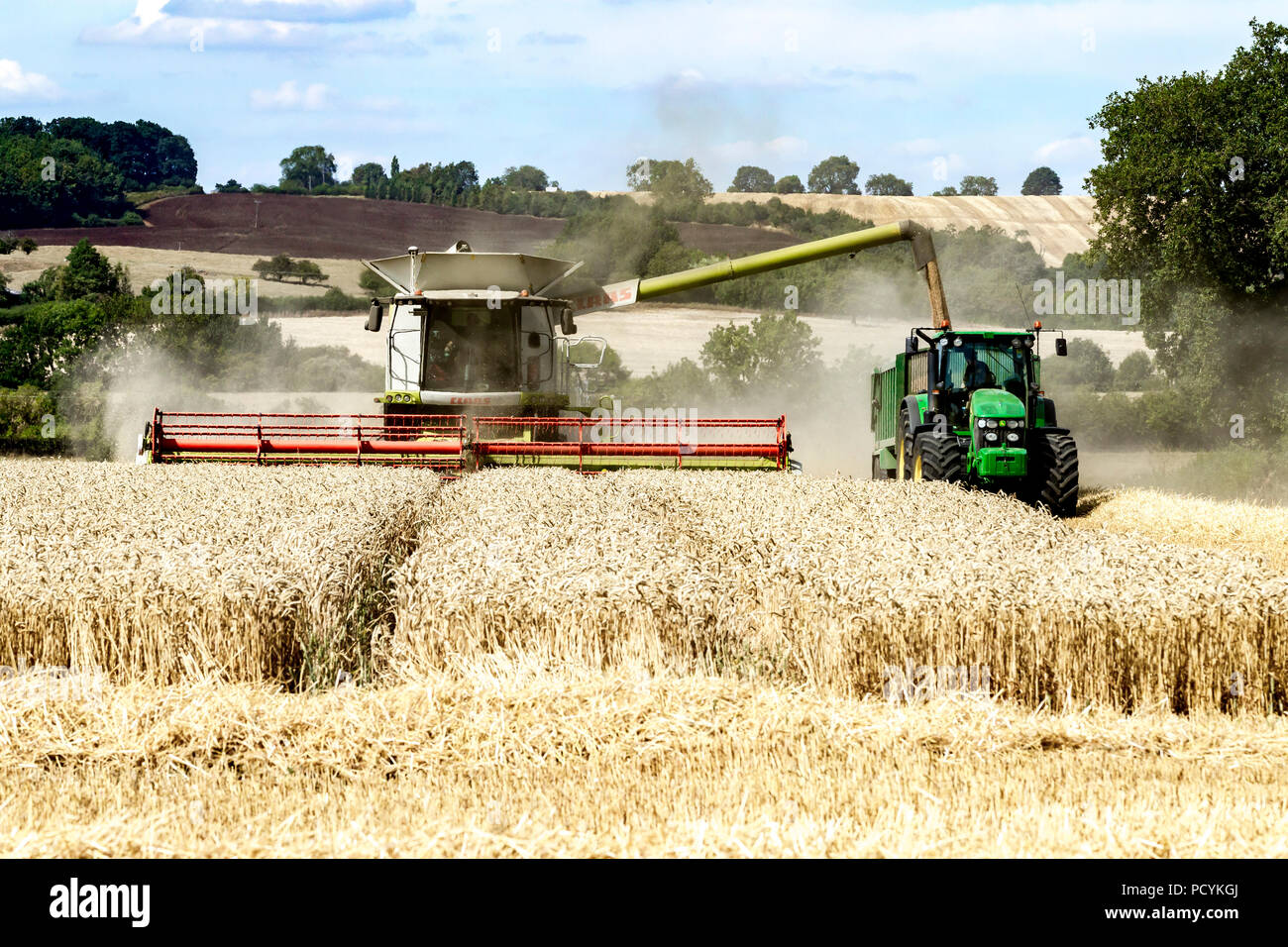 Great Brington, Northamptonshire, Angleterre. 4 août 2018. Les ouvriers agricoles de la récolte avec une moissonneuse Claas 770 Lexton travailler dur pendant la chaleur de l'après-midi Banque D'Images