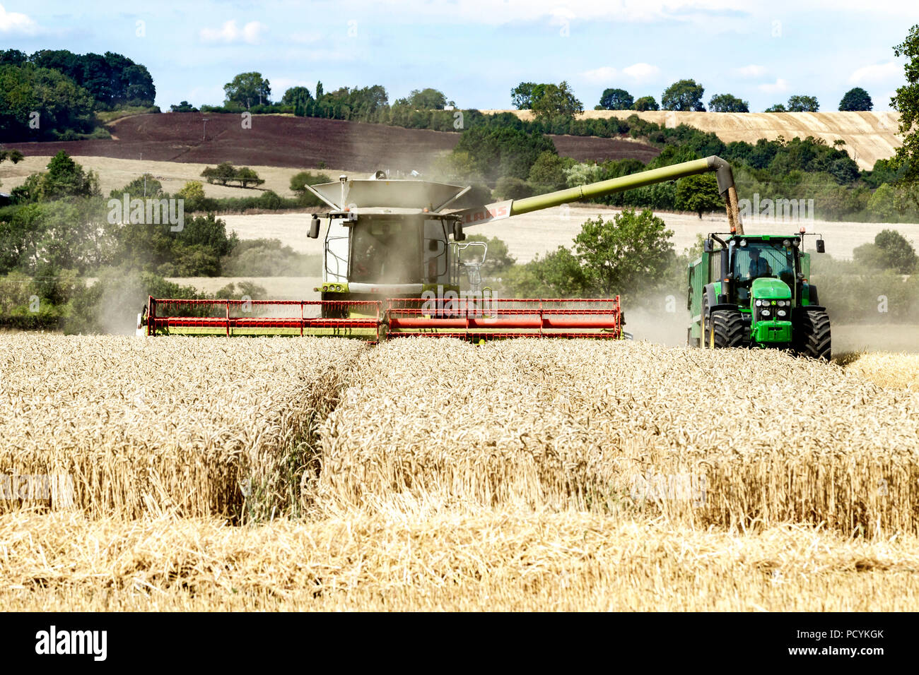 Great Brington, Northamptonshire, Angleterre. 4 août 2018. Les ouvriers agricoles de la récolte avec une moissonneuse Claas 770 Lexton travailler dur pendant la chaleur de l'après-midi Banque D'Images