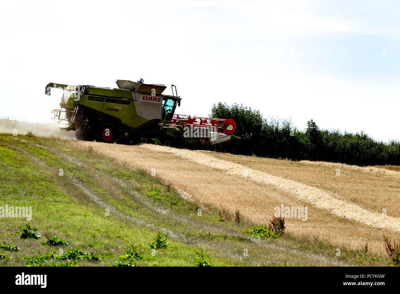 Great Brington, Northamptonshire, Angleterre. 4 août 2018. Les ouvriers agricoles de la récolte avec une moissonneuse Claas 770 Lexton travailler dur pendant la chaleur de l'après-midi Banque D'Images