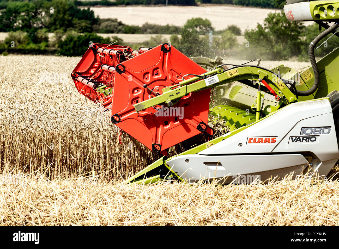 Great Brington, Northamptonshire, Angleterre. 4 août 2018. Les ouvriers agricoles de la récolte avec une moissonneuse Claas 770 Lexton travailler dur pendant la chaleur de l'après-midi Banque D'Images
