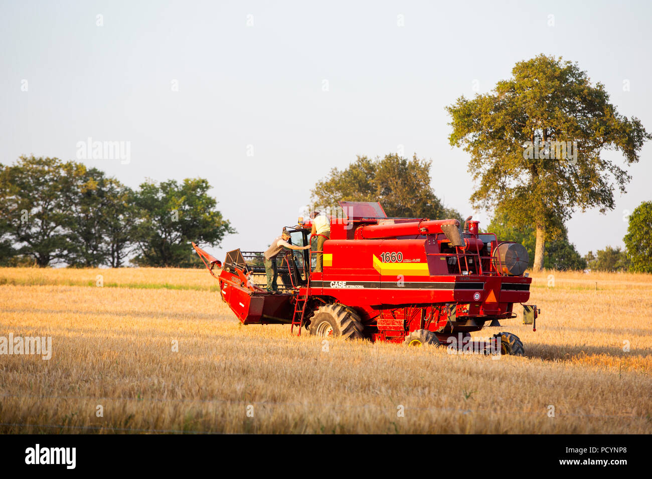 Un agriculteur récolte du blé sur une ferme près d'Esse, région de Limoges, France. Banque D'Images