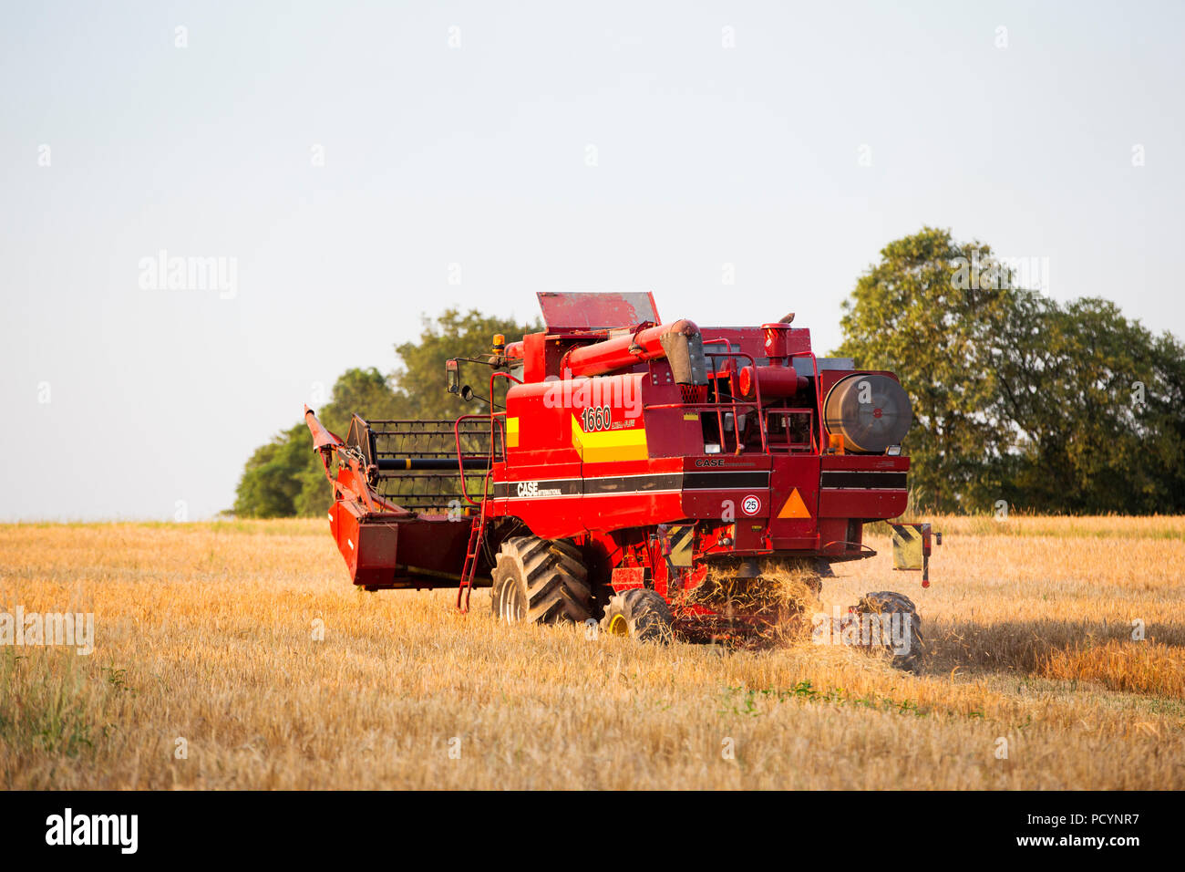 Un agriculteur récolte du blé sur une ferme près d'Esse, région de Limoges, France. Banque D'Images