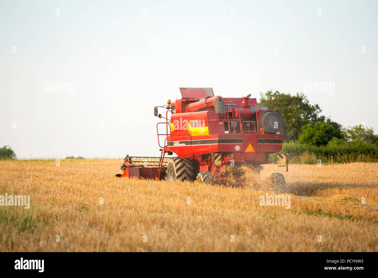 Un agriculteur récolte du blé sur une ferme près d'Esse, région de Limoges, France. Banque D'Images