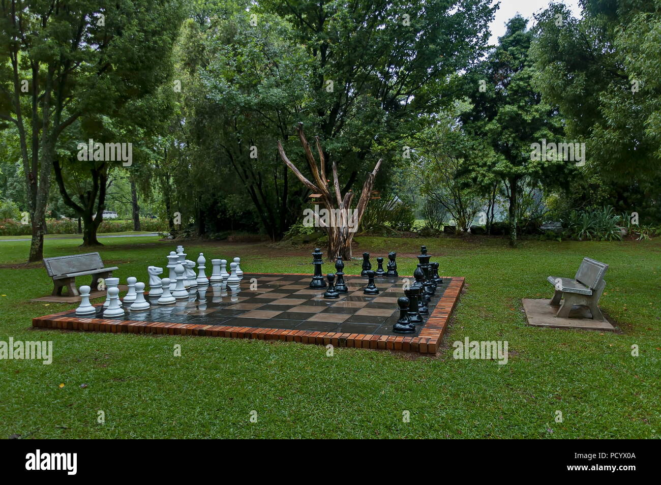 Jeux d'échecs de jardin avec l'eau gouttes après nuit pluvieuse à Sabie, Afrique du Sud Banque D'Images