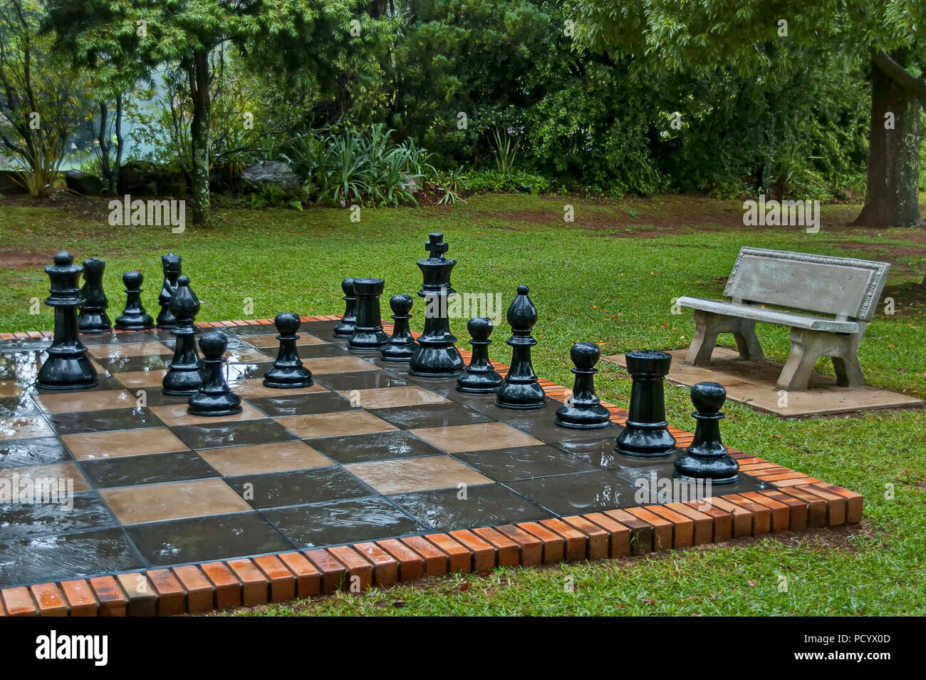 Jeux d'échecs de jardin avec l'eau gouttes après nuit pluvieuse à Sabie, Afrique du Sud Banque D'Images