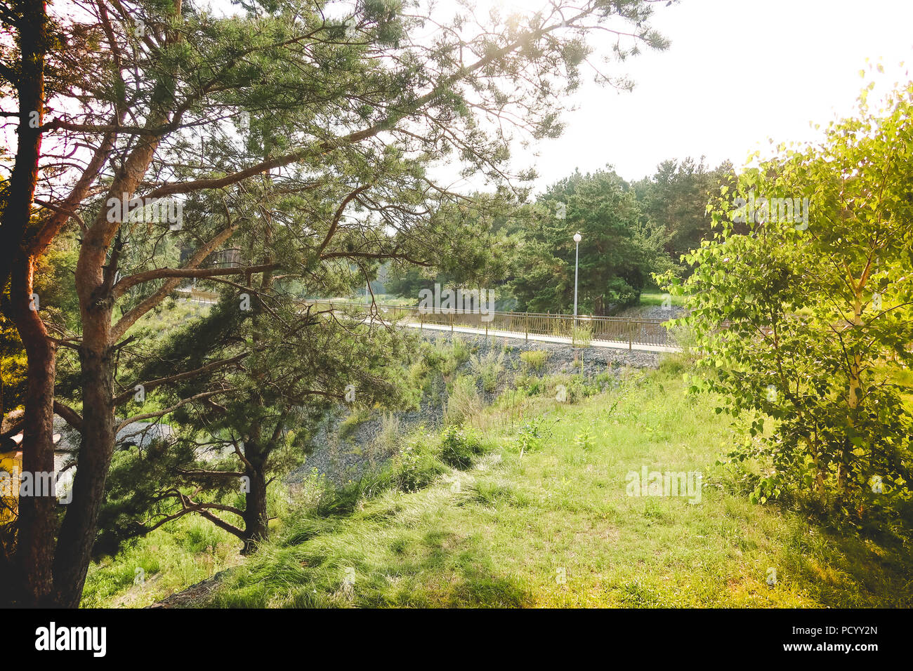 Le chemin en bois menant à travers une forêt verte. Tourisme vue sur sentier en bois entre les arbres et l'herbe. La nature russe. Banque D'Images