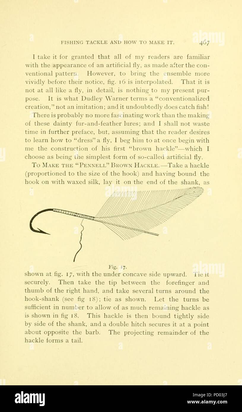 Poissons jeu américain (page 467, fig. 17) Banque D'Images