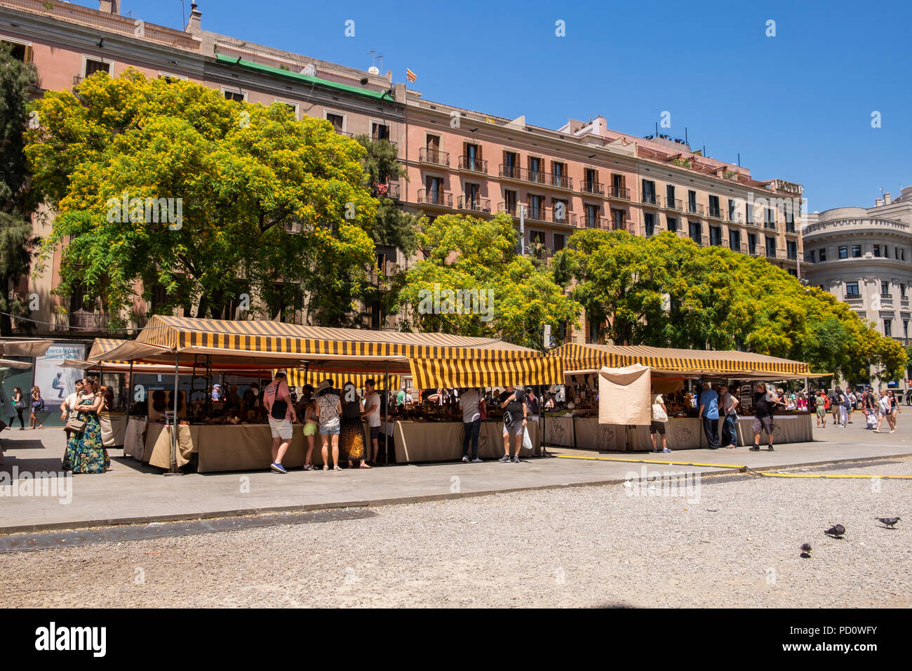 Marché d'antiquités de plein air dans l'Avenue Cathedral, Plaza, dans le quartier gothique, Barcelone, Espagne Banque D'Images