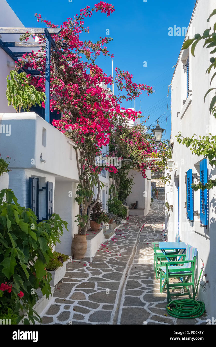 Vue typique d'une rue étroite dans la vieille ville de Naoussa, Paros, Cyclades, Grèce Banque D'Images