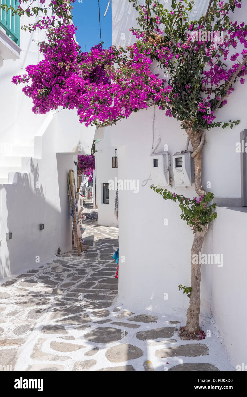 Vue typique d'une rue étroite dans la vieille ville de Naoussa, Paros, Cyclades, Grèce Banque D'Images