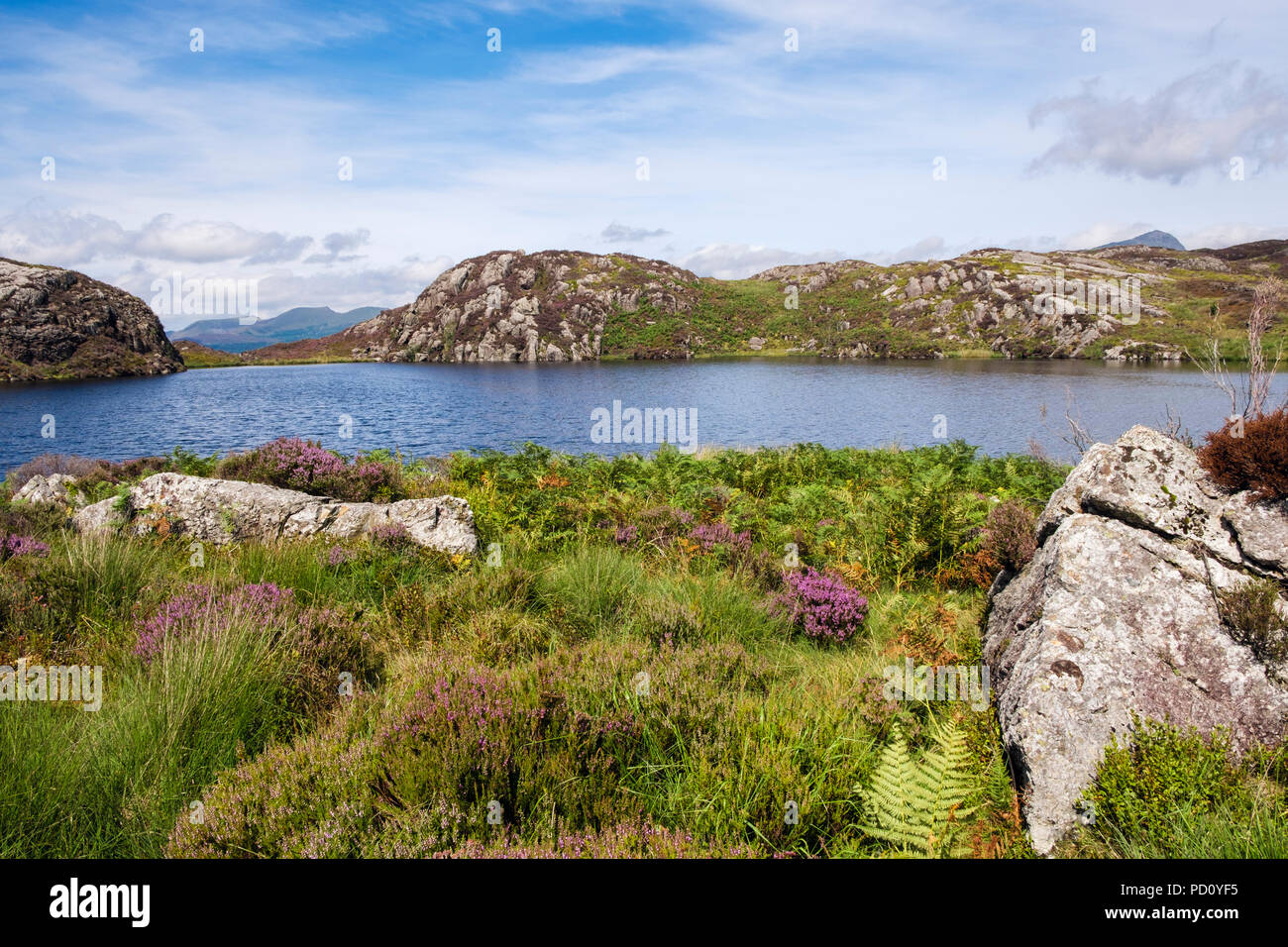 Petit lac de montagne Llyn An Arddu dans Moelwyn collines du Parc National de Snowdonia avec Nantlle Ridge sur l'horizon en été. Nantmor Gwynedd au Pays de Galles Royaume-uni Grande-Bretagne Banque D'Images