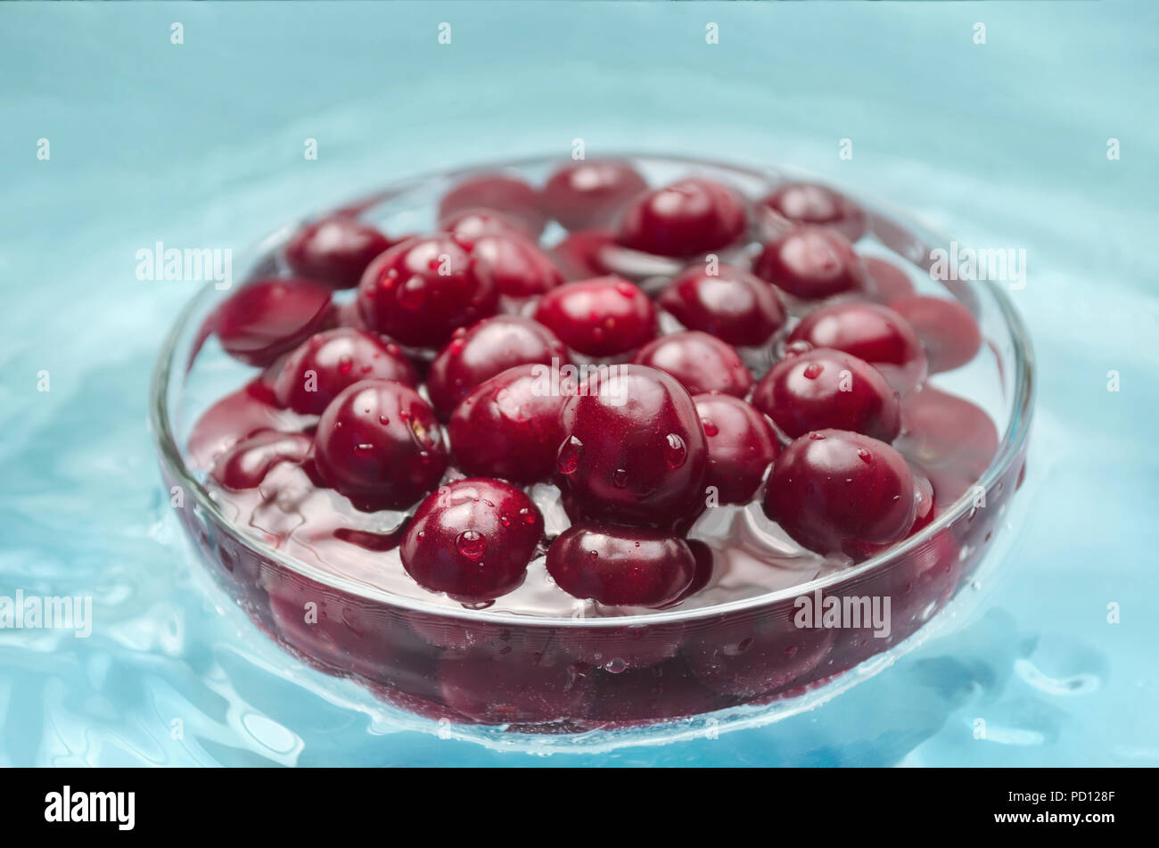 Laver les cerises dans un bol avec de l'eau Banque D'Images