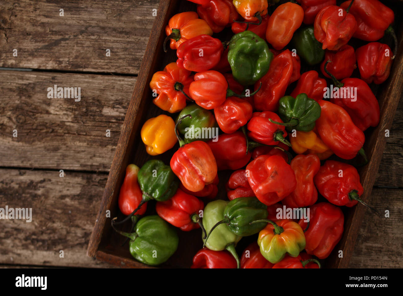 Les piments scotch bonnet variété Banque D'Images