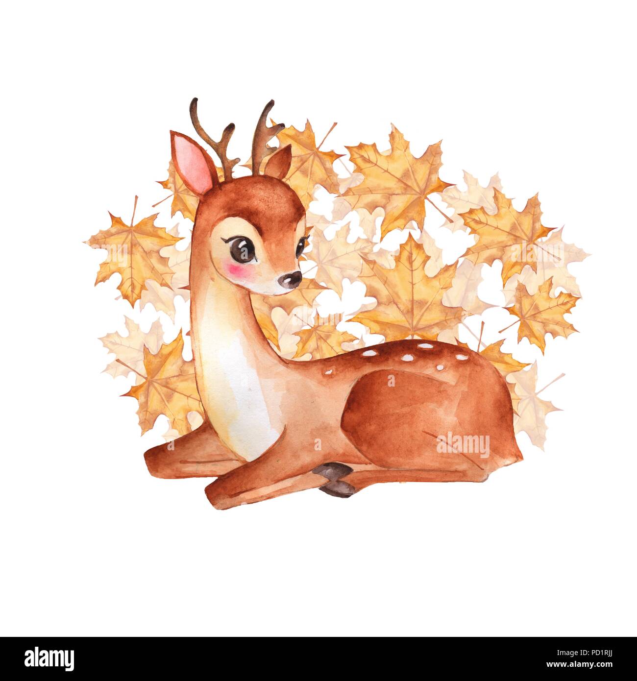 Bebe Chevreuil Mignon Faon Illustration A L Aquarelle Photo Stock Alamy