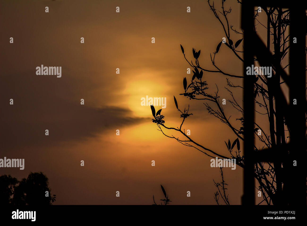 ciel du matin Banque D'Images