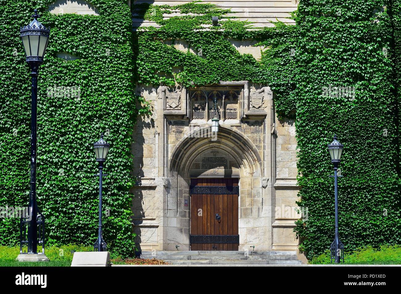 Chicago, Illinois, USA. Mur couvert de lierre à Roosevelt Memorial Chapel sur le campus de l'Université de Chicago. Banque D'Images