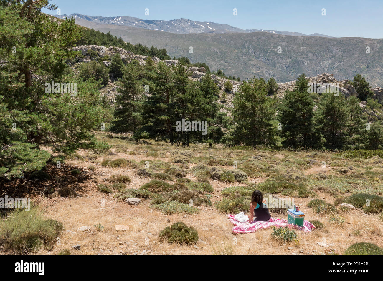 Femme, pique-nique, la Sierra Nevada, en saison estivale. Grenade, Andalousie, espagne. Banque D'Images