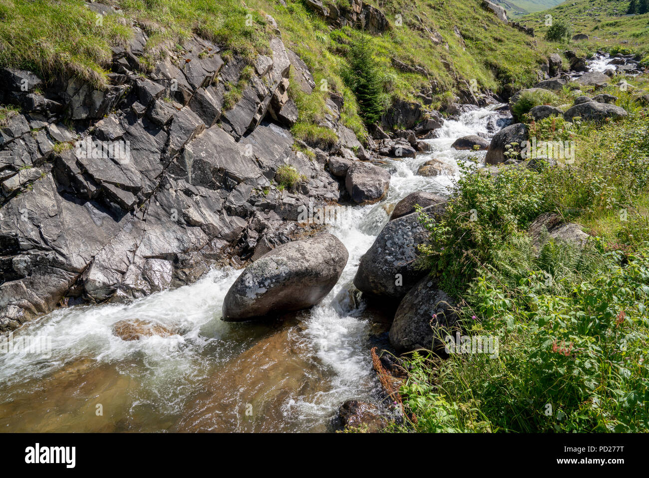 Les plantes vertes près d'un ruisseau de montagne à Malatya, Turquie Banque D'Images