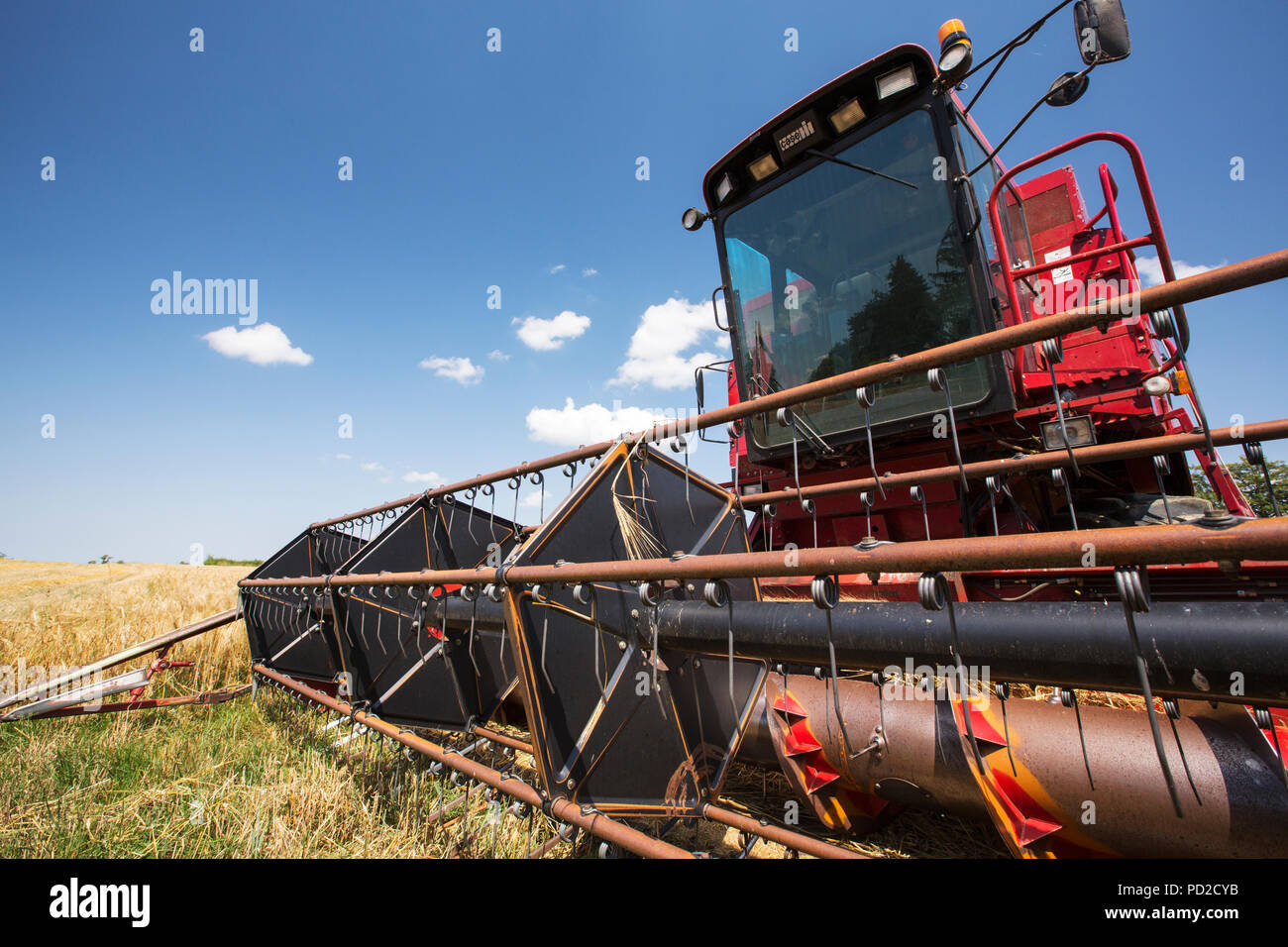 Un agriculteur récolte du blé sur une ferme près d'Esse, région de Limoges, France. Banque D'Images