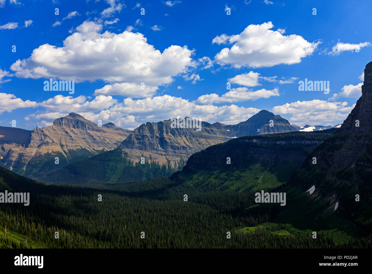 C'est une vue spectaculaire sur la montagne vu du côté est de l'aller à la route de Sun dans le Glacier National Park, Montana, USA. Banque D'Images