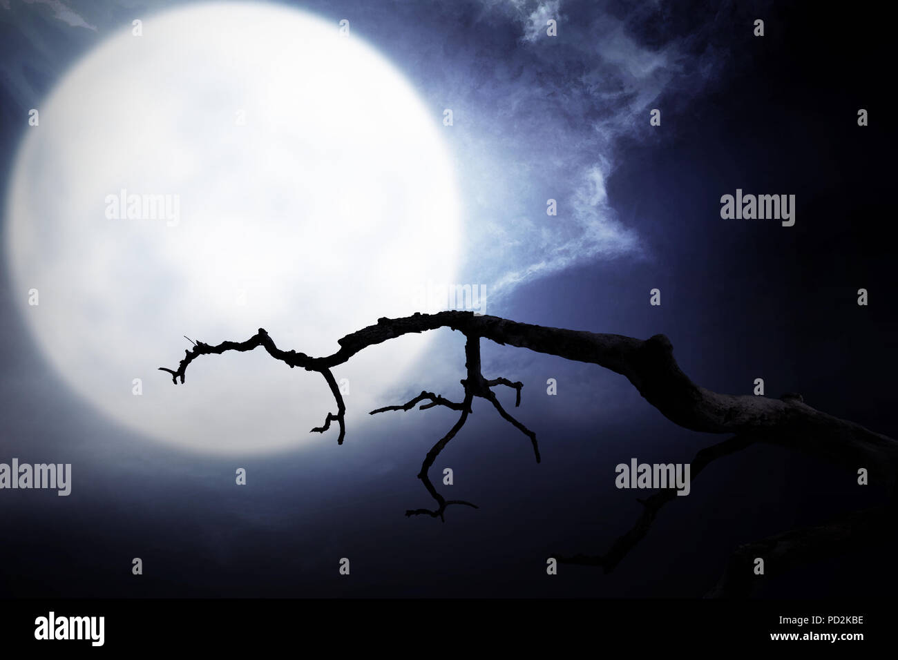 Scène de nuit effrayant avec branch, pleine lune et nuages sombres pour l'halloween background Banque D'Images Scène de nuit effrayant avec branch, pleine lune et nuages sombres pour l'halloween background Banque D'Images