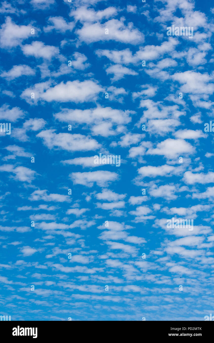 La formation de nuages inhabituelle contre un ciel bleu. Le maquereau skies en été. Banque D'Images