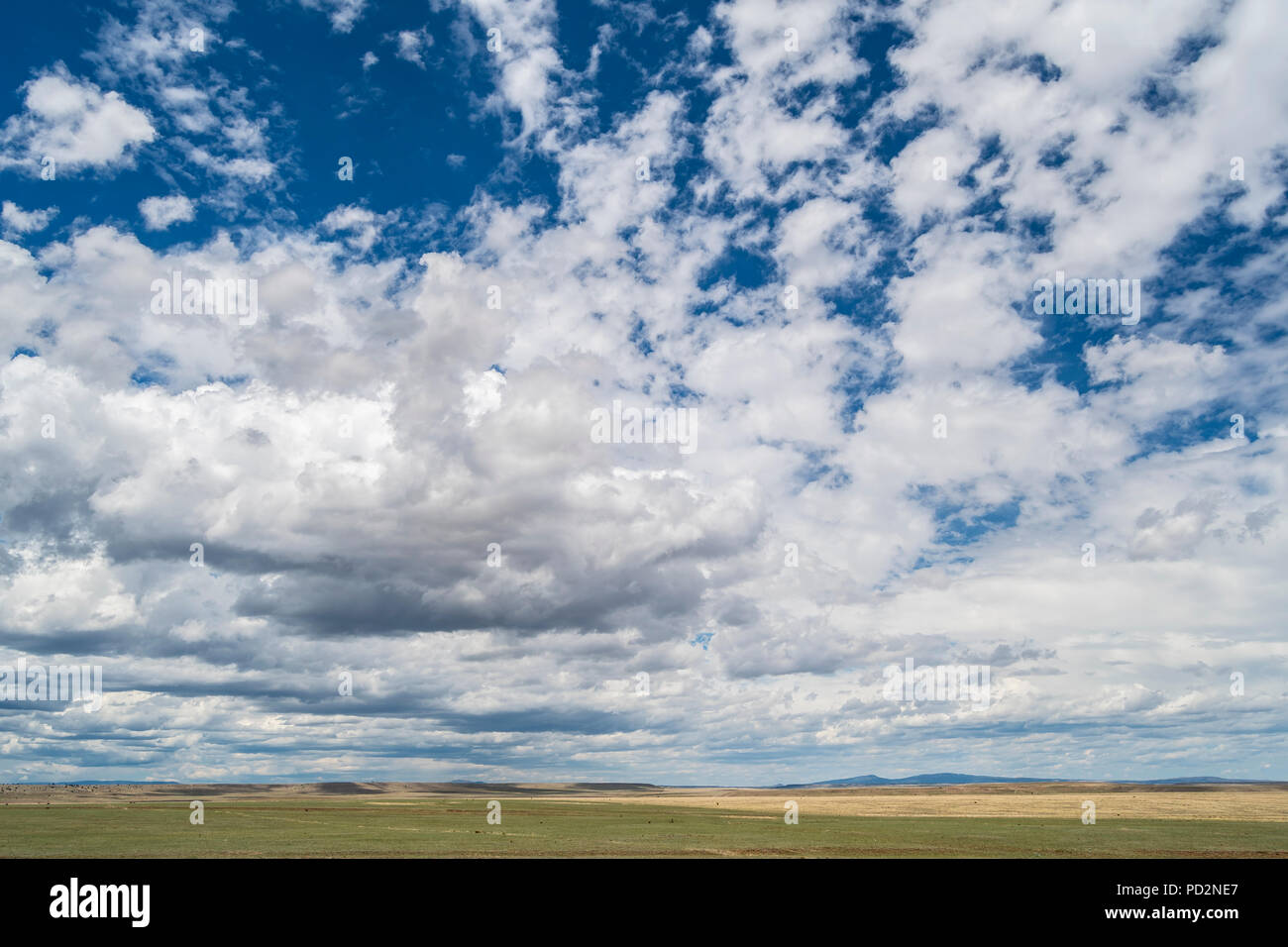Des cumulus épars, été, Mora Comté, NM, États-Unis d'Amérique, par Dominique Braud/Dembinsky Assoc Photo Banque D'Images