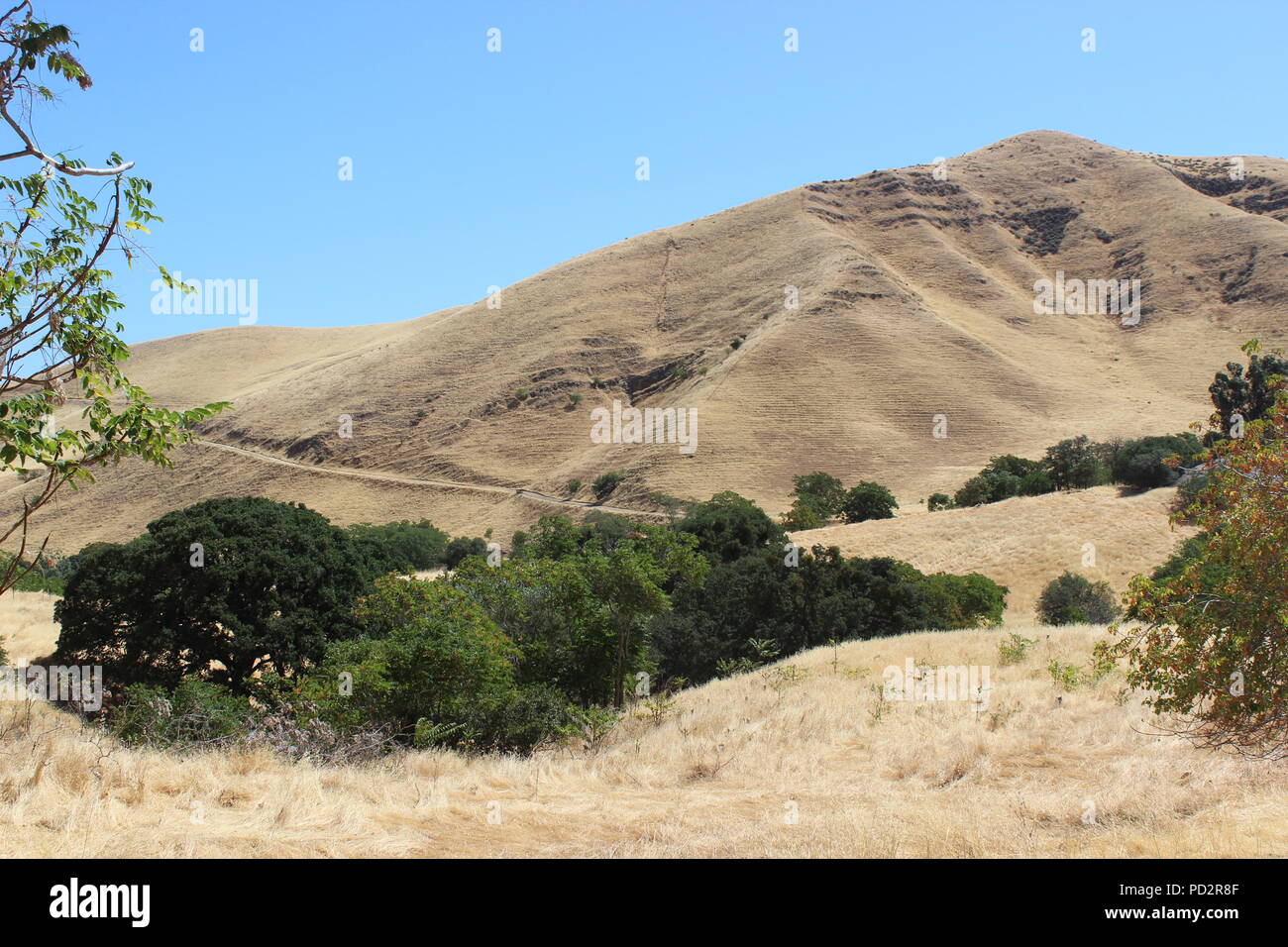 Black Diamond Mines Regional Preserve et Antioch, Californie Banque D'Images