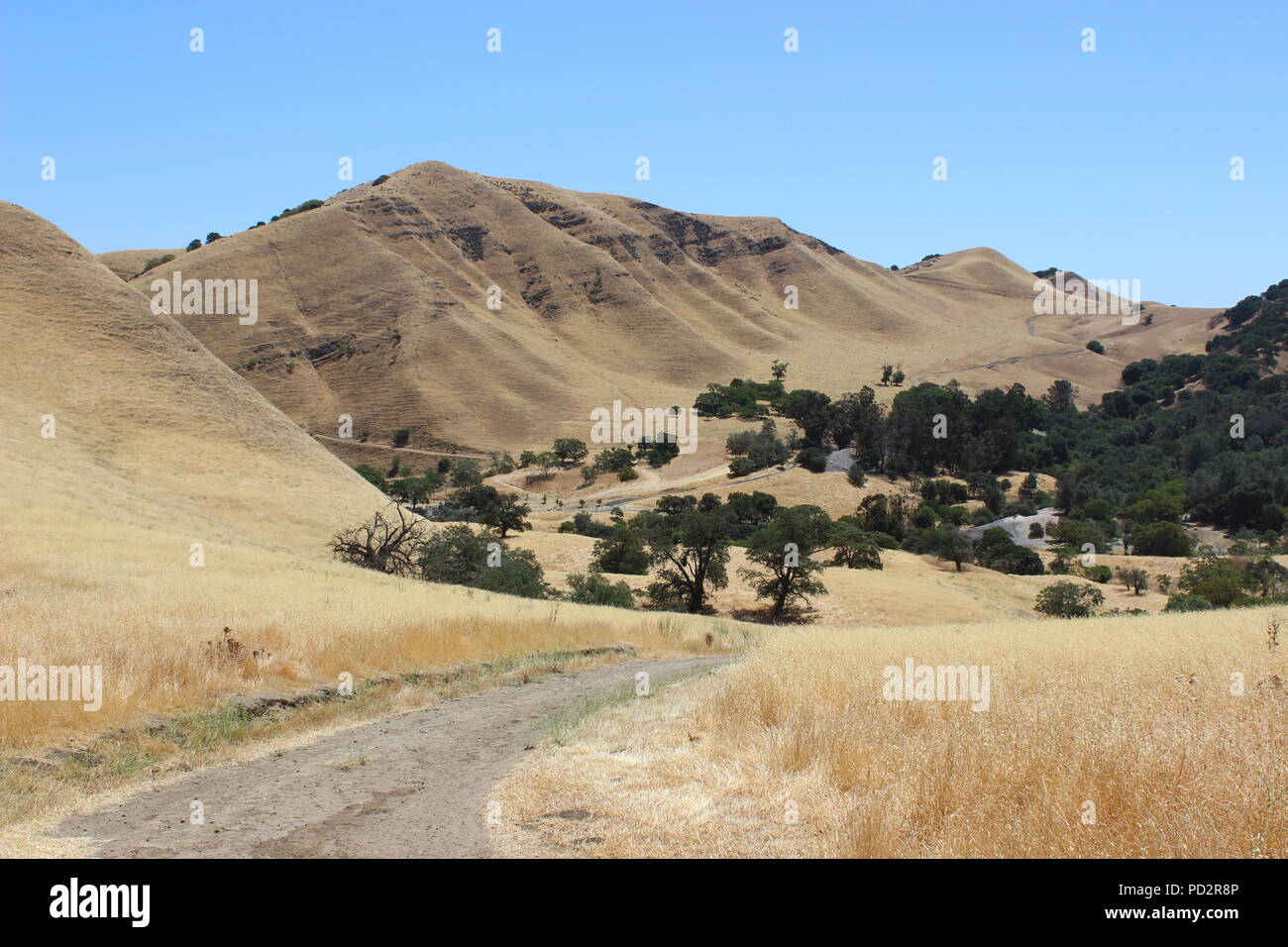 Black Diamond Mines Regional Preserve et Antioch, Californie Banque D'Images