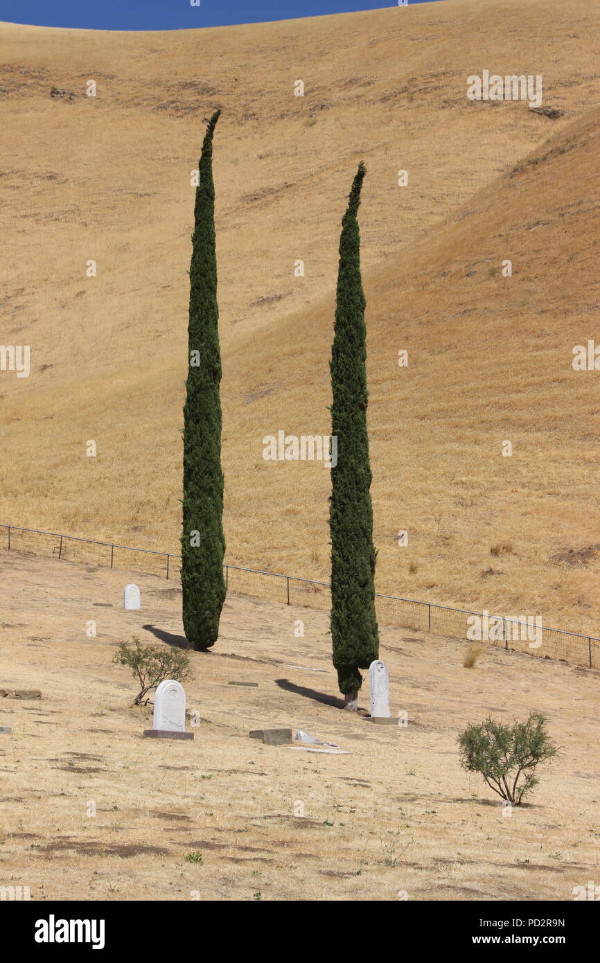 Rose Hill Cemetery, Black Diamond Mines Regional Preserve et Antioch, Californie Banque D'Images