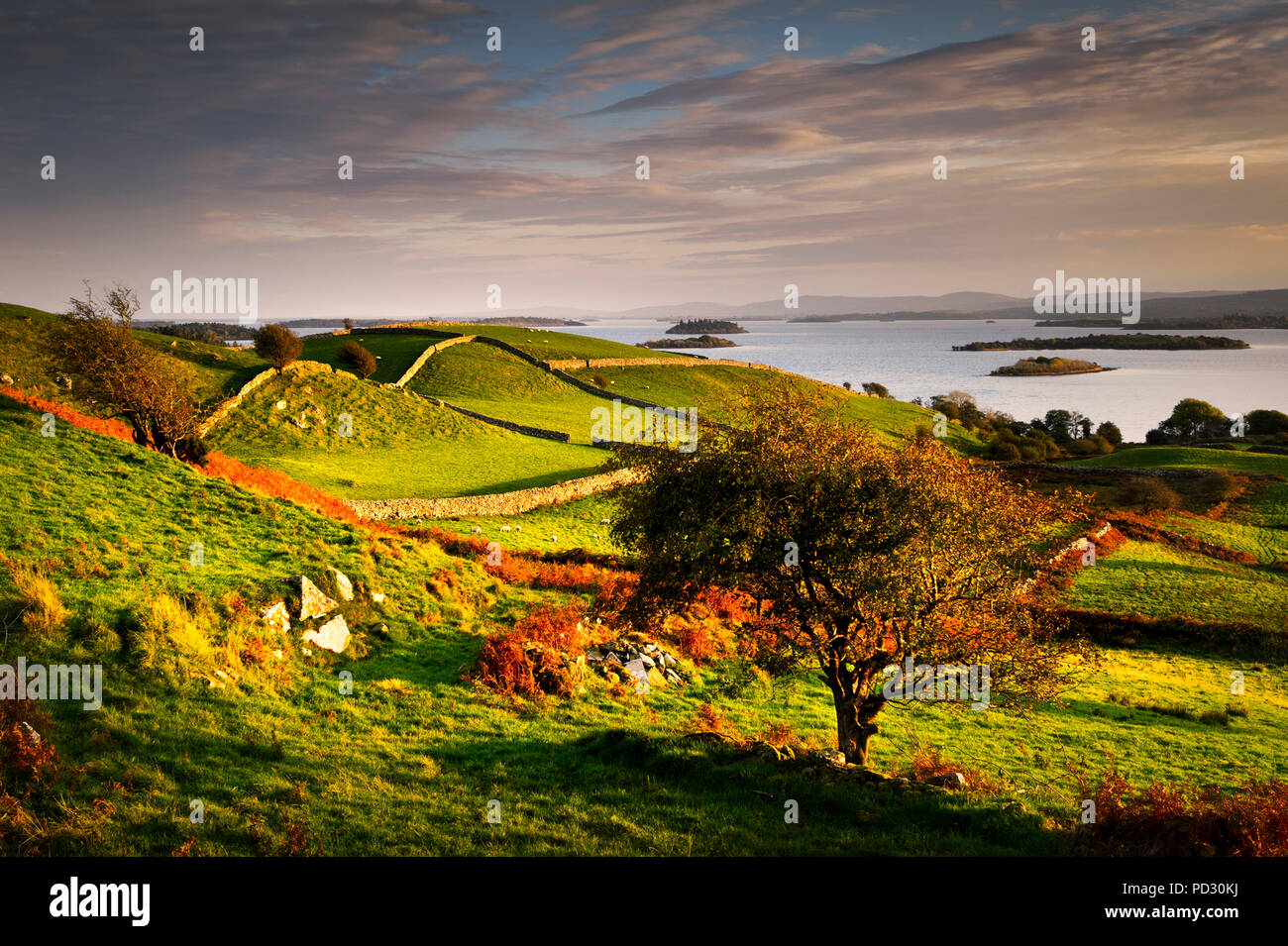 Vue panoramique, Lough Corrib en automne, Cong, Mayo, Ireland Banque D'Images