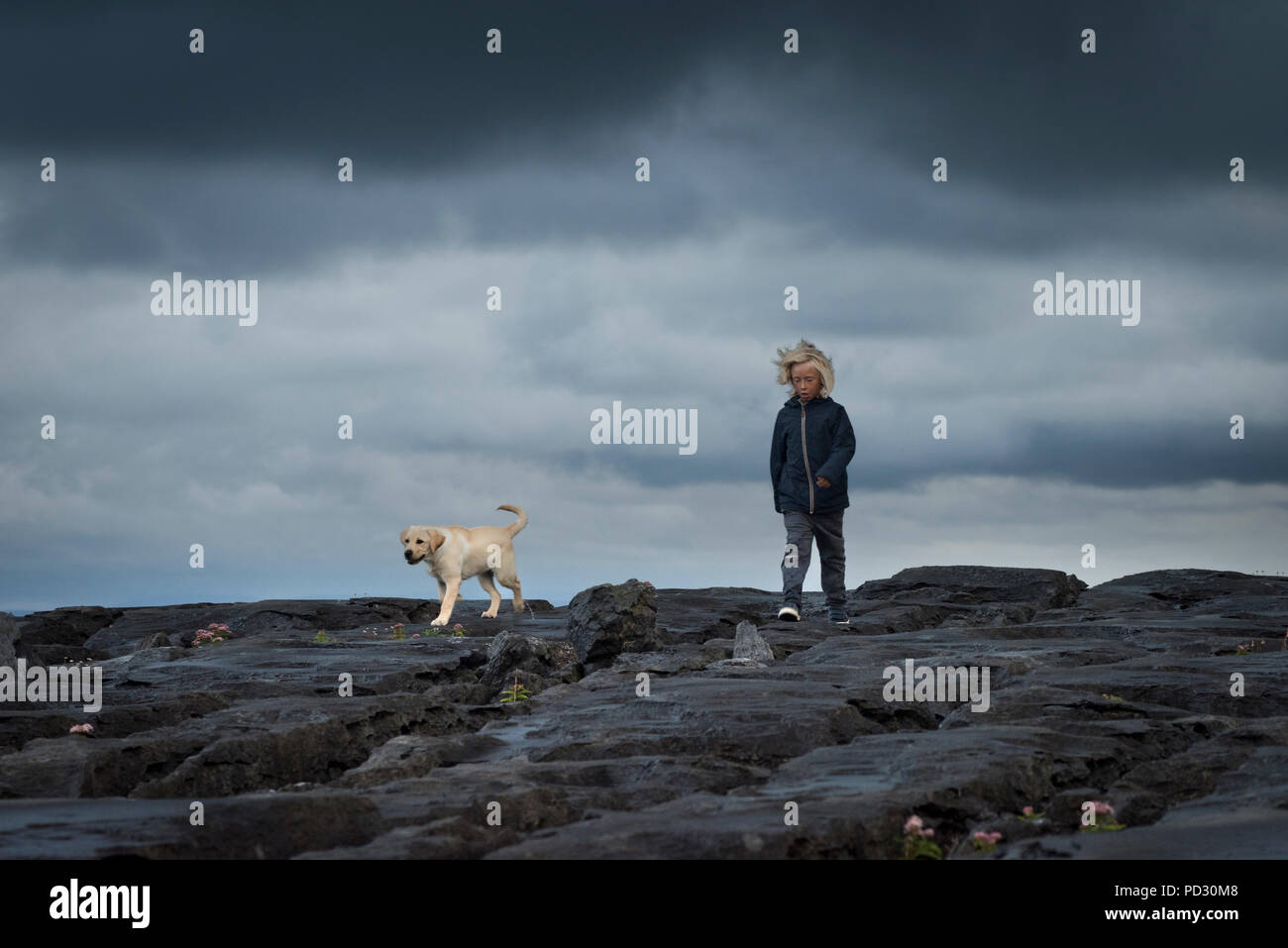 Jeune garçon sur les roches avec animal chien labrador, Doolin, Clare, Irlande Banque D'Images