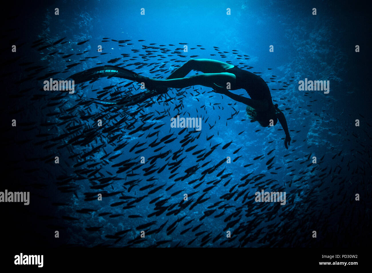 Femme vue sous-marine, apnée, Swallow Cave, Vavau, Tonga, Fidji Banque D'Images