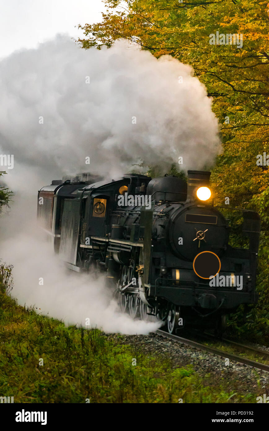 Locomotive vapeur en forêt d'automne à Fukushima Japon Banque D'Images