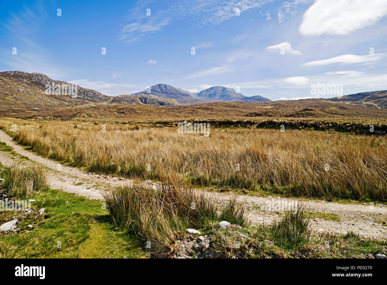 Avis par voie de stony rugueux-carex dans les hautes terres couvertes de landes à la montagne Coire Mhic Dhughaill Meallan Liath, Sutherland, Highlands écossais. Banque D'Images