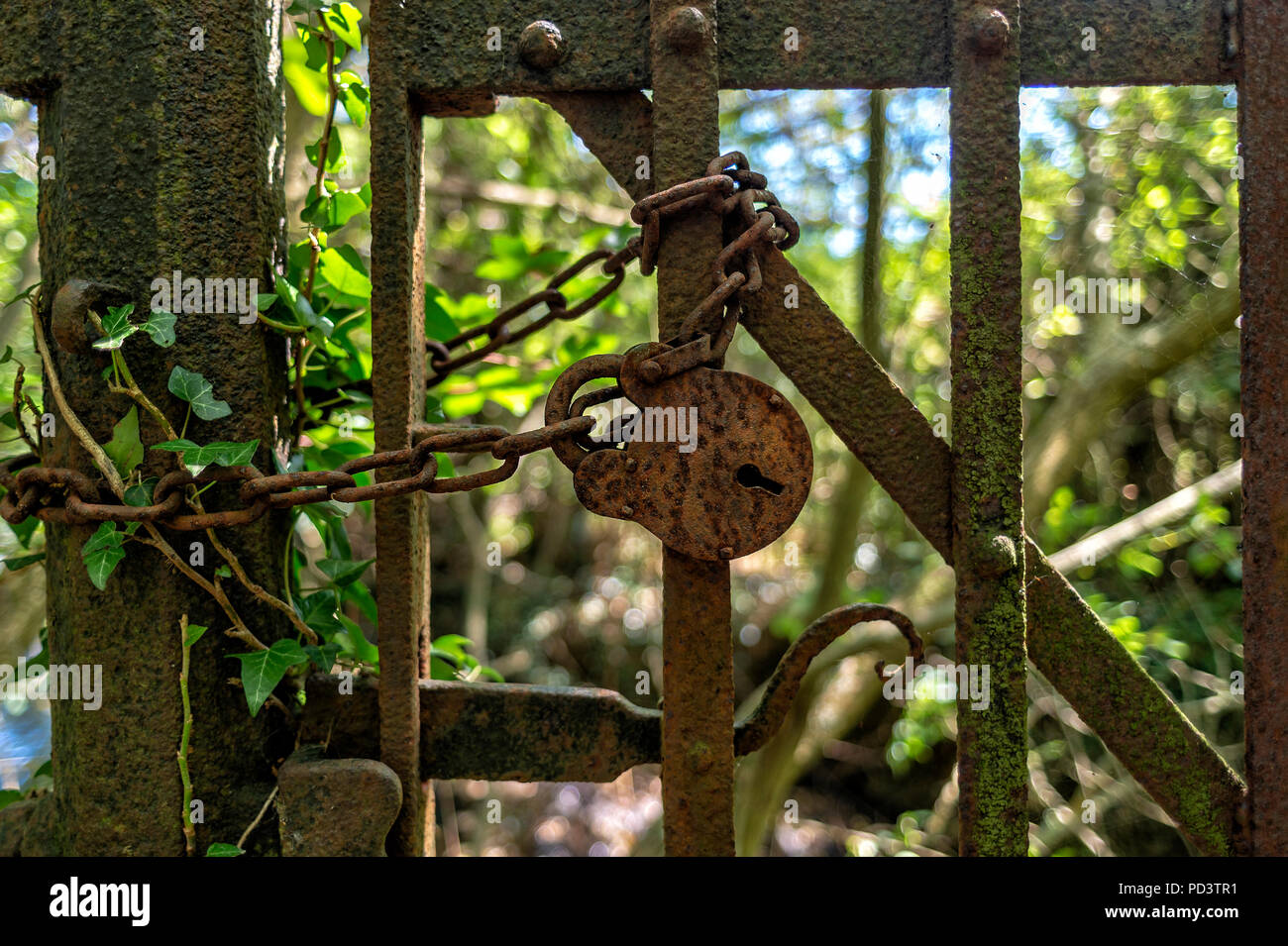 Un upof près des cadenas et des chaînes rouillées sur une vieille porte de fer, Banque D'Images