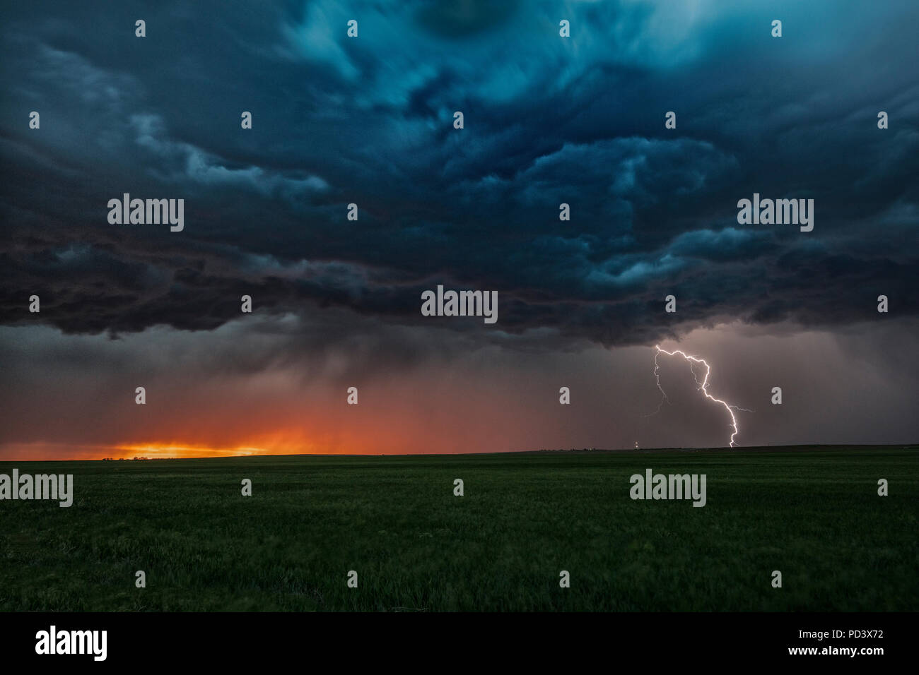 Asperatus nuages dans le coucher du soleil et des éclairs nuage-sol, vis, Nebraska, États-Unis Banque D'Images