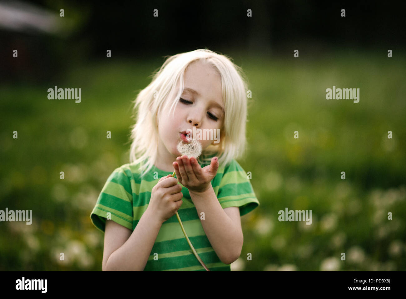 Boy blowing dandelion Banque D'Images