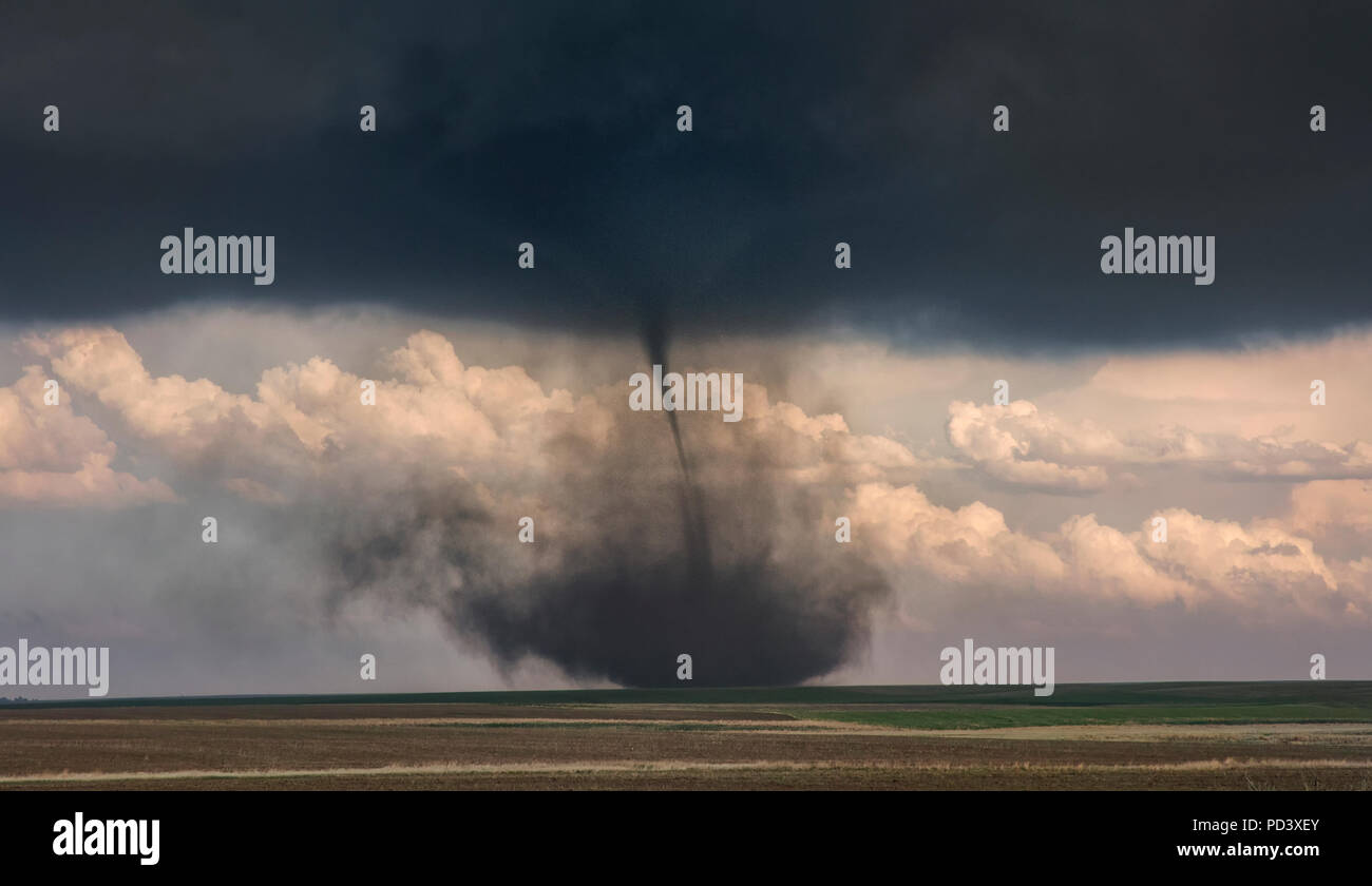 Landspout-tornade des formes hybrides sur les plaines, Cope, Colorado, United States Banque D'Images