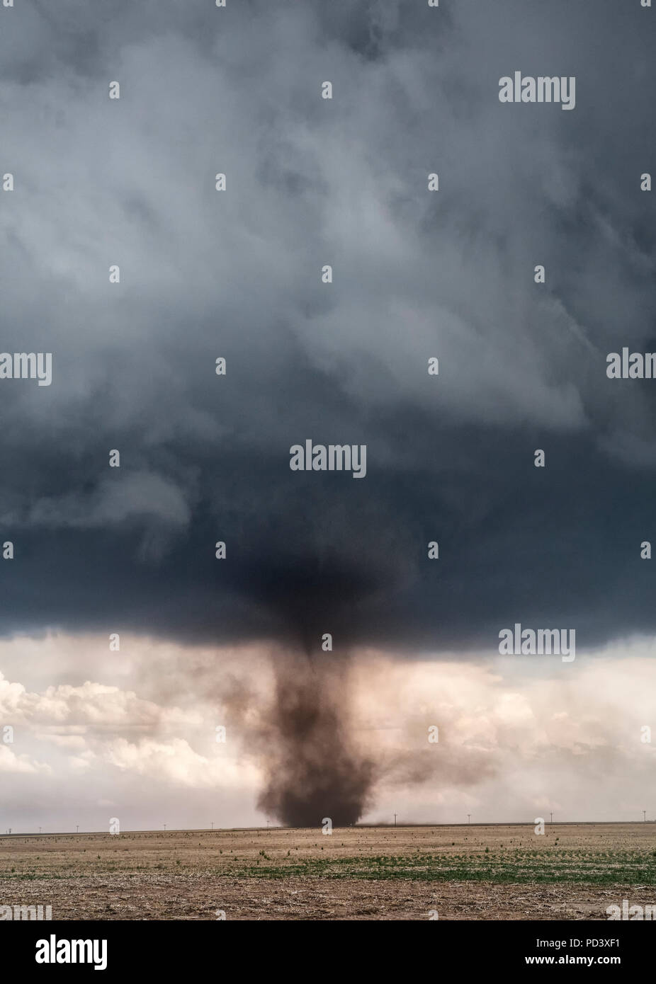 Landspout mésocyclone se transforme en cumulonimbus, faire face à la tornade, Colorado, États-Unis Banque D'Images