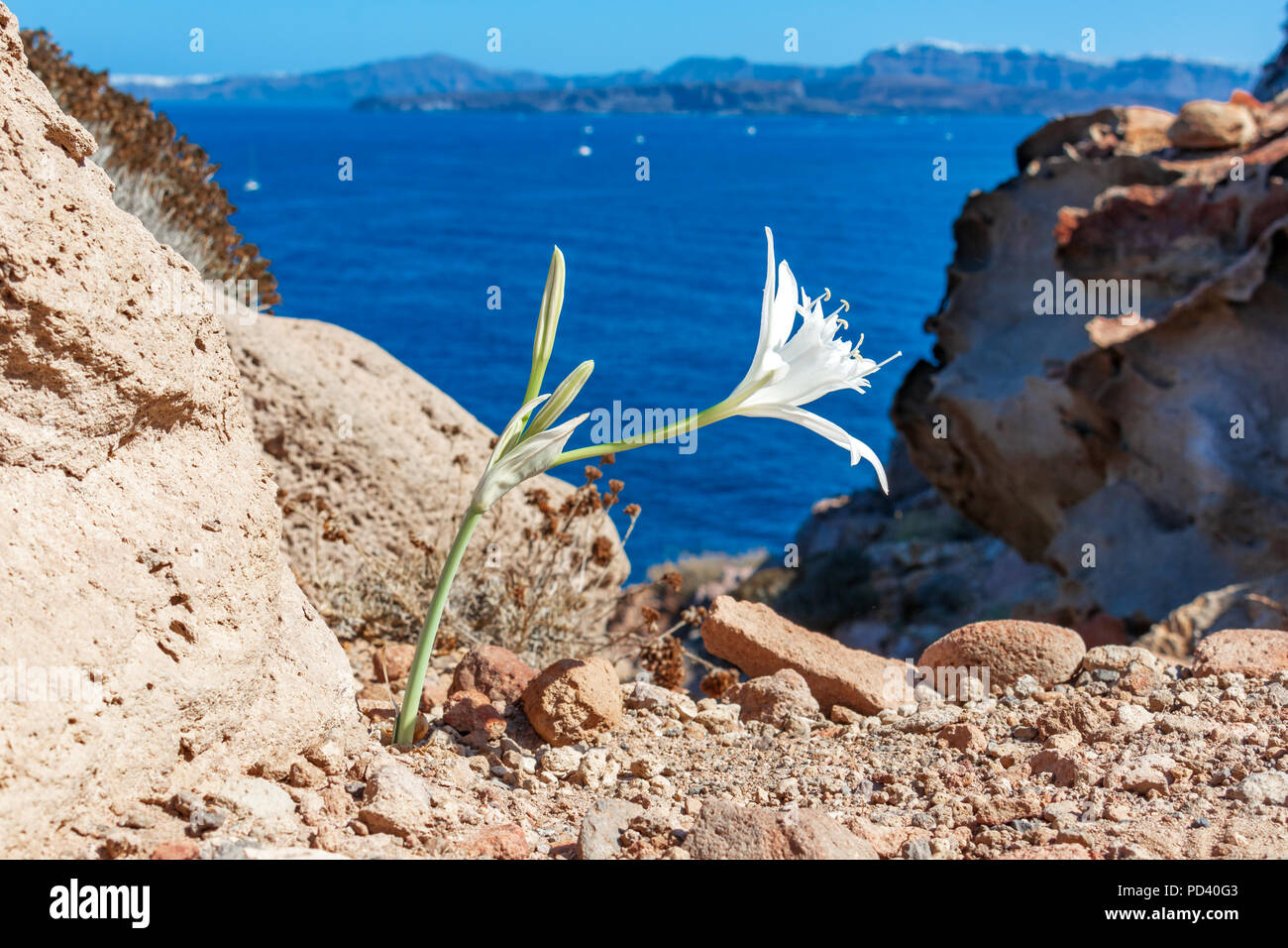 Très jolie de l'Santorinii costline de island, Grèce. Banque D'Images