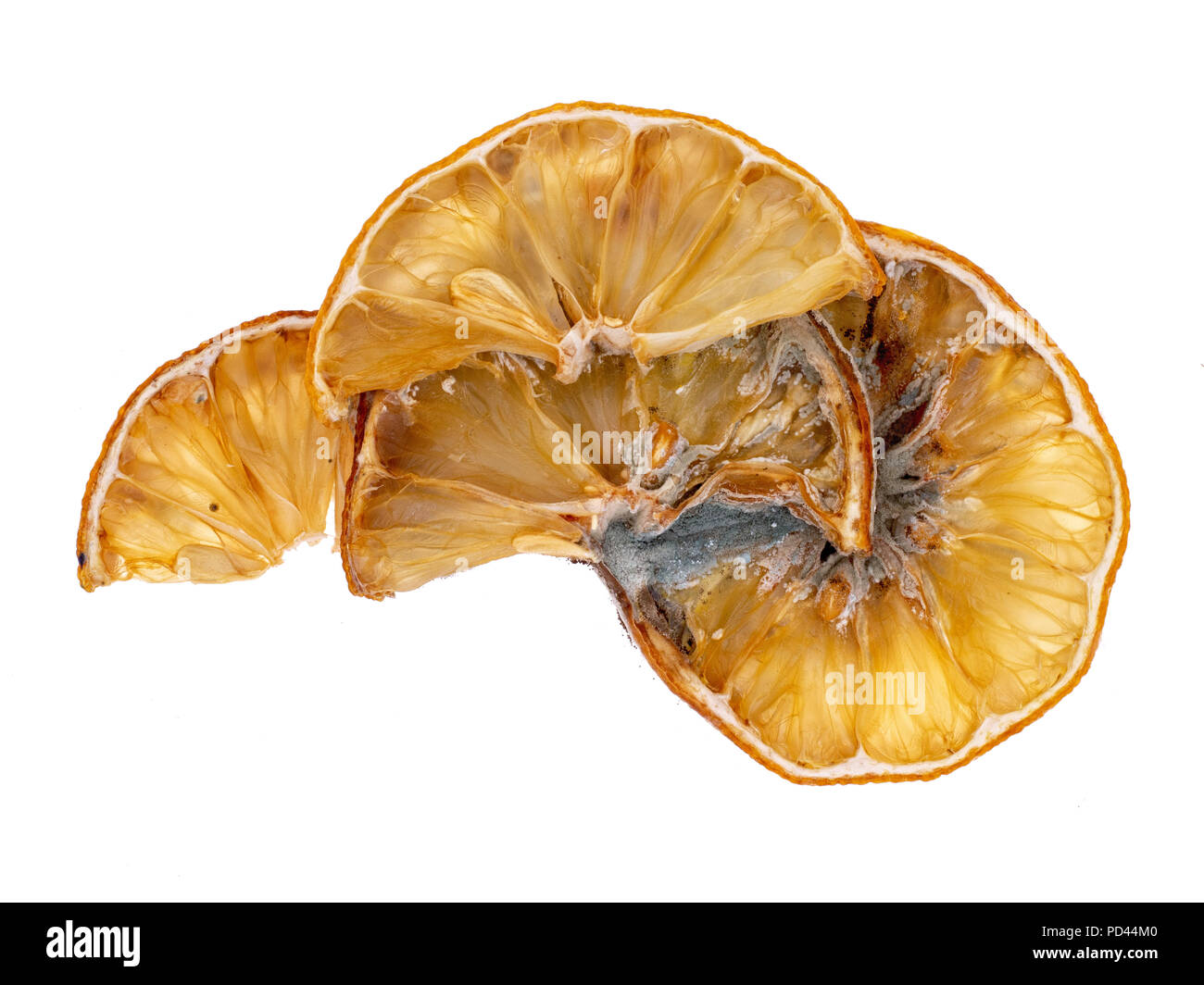 Les tranches de citron moisi passé avec le moule. Belle décomposition naturelle. Isolé sur fond blanc Banque D'Images