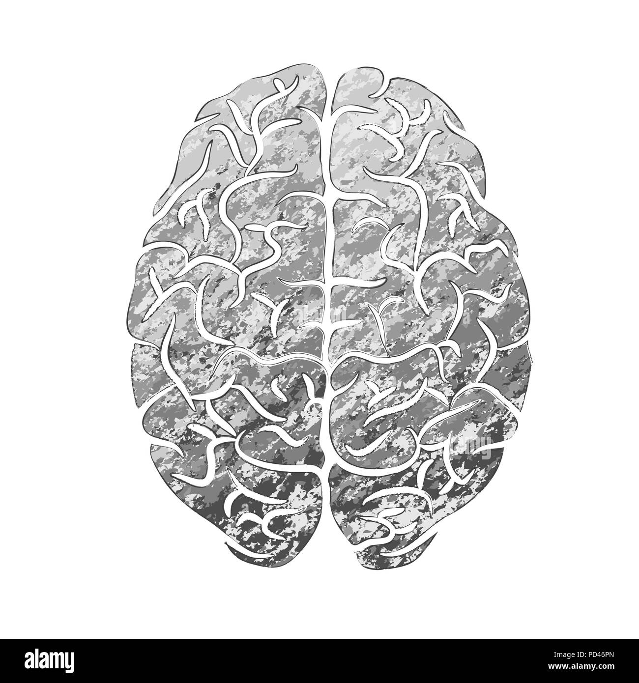 Grunge gris silhouette du cerveau humain isolé sur fond blanc Illustration de Vecteur