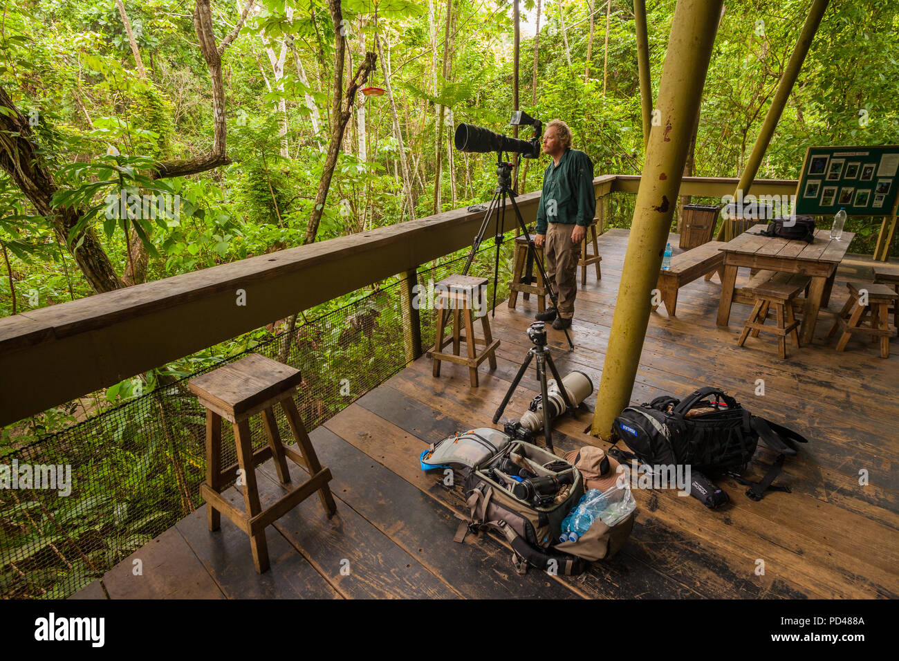 Photographe de la faune à la découverte de la forêt tropicale, Gamboa, République du Panama. Banque D'Images