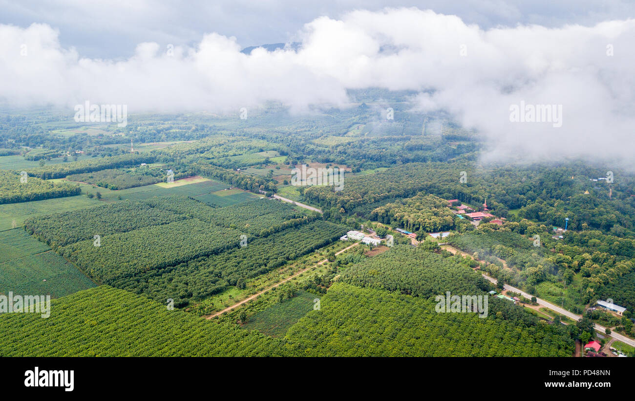 Photo aérienne de drone : domaine de l'agriculture dans la province de Kanchanaburi, Thaïlande Banque D'Images