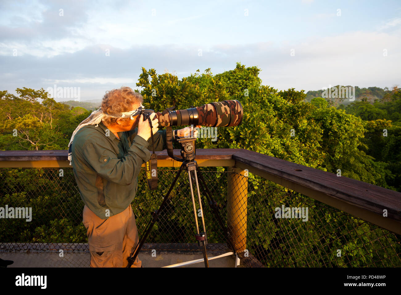 Photographe de la faune avec téléobjectif dans la tour au-dessus de la canopée de la forêt tropicale à la découverte de la forêt tropicale, Gamboa, République du Panama. Banque D'Images
