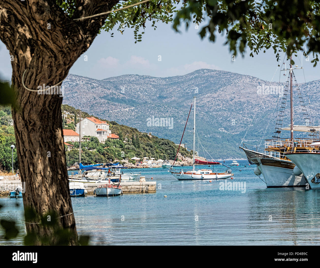 La zone de la marina de port et l'île de Sipan Dubrovnik Croatie Banque D'Images