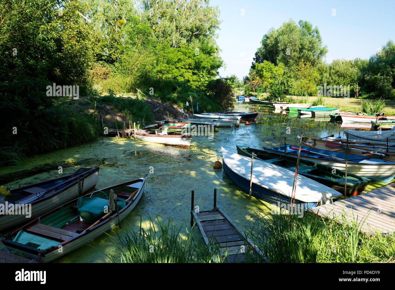 Bateaux de pêcheurs au Lac Balaton, Hongrie Banque D'Images