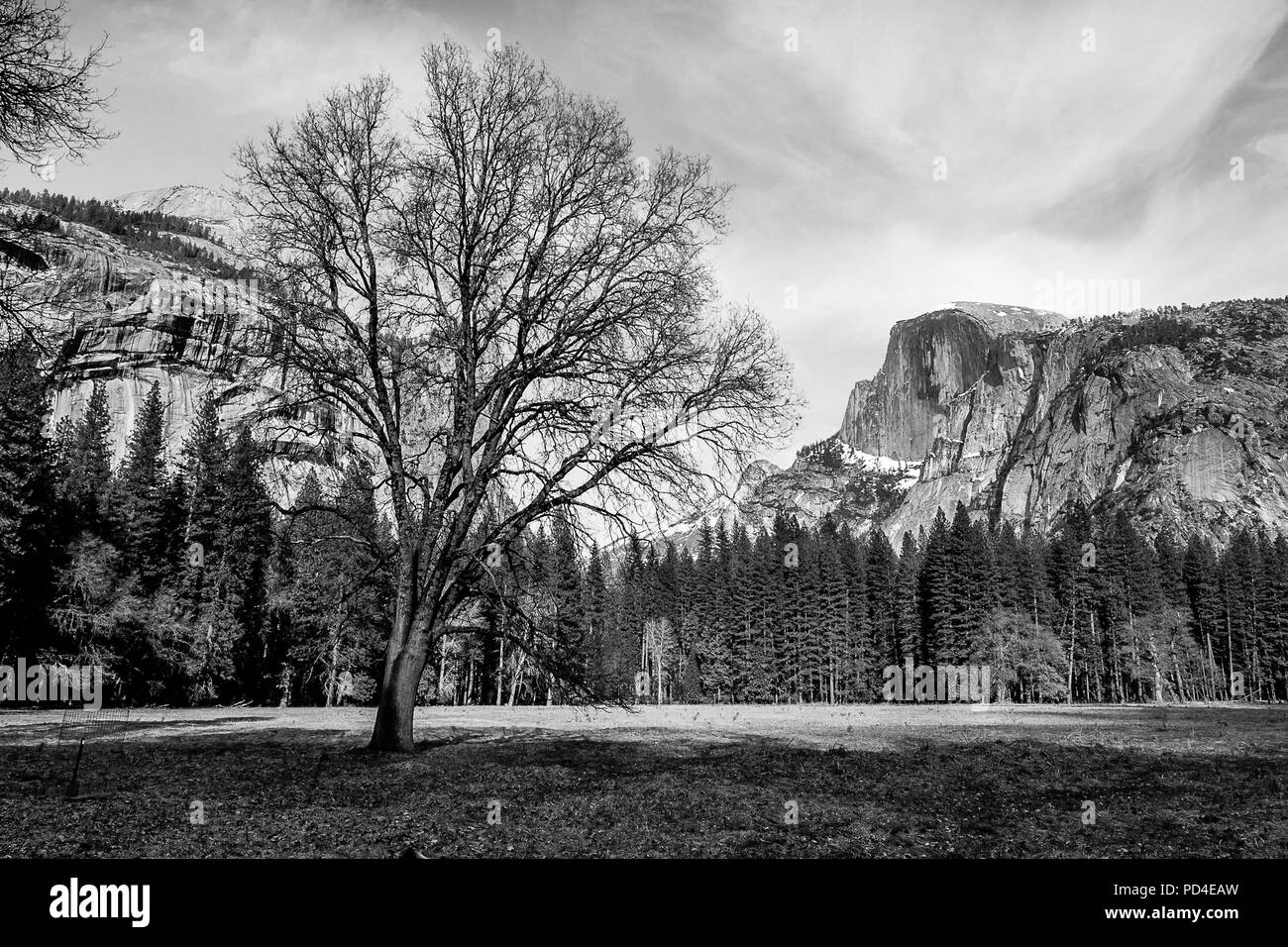 Yosemite National Park Banque D'Images