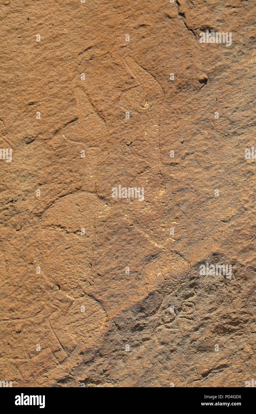 D'anciens pétroglyphes à Gobustan (Azerbaïdjan), de Gobustan Banque D'Images